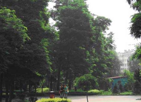 泾川县中山林公园简介