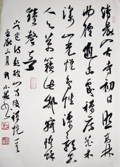 雏凤清声看小龙